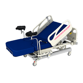 Electric Ldr Bed Celenus